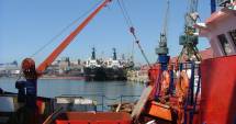 Stire din Economie : Operatorii privați au investit peste 15 milioane euro, în porturile Constanța și Midia