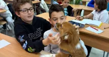 Stire din Cultură-Educație : Schimbare în programa școlară. Disciplină opțională nouă pentru elevii de gimnaziu