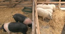 Stire din Economie : Ordinul care stabileşte tipurile de exploataţii, în dezbatere publică