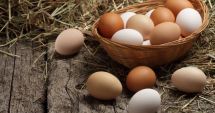 Ouăle comercializate de Paște, atent monitorizate de Direcţia Sanitară Veterinară
