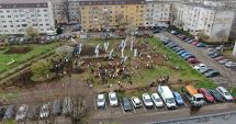 Stire din Social : Prima mini-pădure urbană din Constanța a fost plantată în cartierul  Inel 2