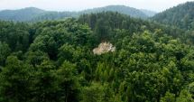 Stire din Actualitate : Romsilva a regenerat 13.227 hectare de păduriîn 2021. Bugetul alocat se apropie de 200 milioane lei