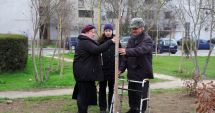 Stire din Social : Constănțenii au un parc în memoria persoanelor dragi, trecute în neființă