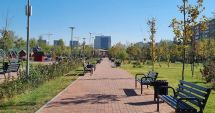 Stire din Eveniment : Moarte suspectă într-un parc municipal. O persoană a fost găsită decedată într-un autoturism