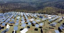 Stire din Eveniment : Parc fotovoltaic de 40 de milioane de euro, distrus de hoți