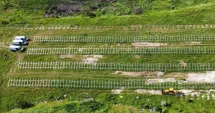Stire din Social : Murfatlar va avea parc fotovoltaic. Primăria reduce facturile la energie