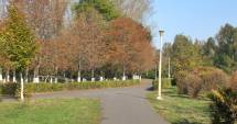Stire din Social : Angajații RAJA și militarii americani curăță Parcul Tăbăcărie
