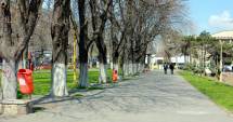Stire din Politică-Administrație : Primăria Constanța va construi o parcare subterană în parcul de la Sala Sporturilor