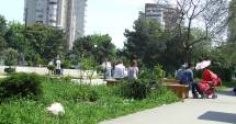 Stire din Social : Cum va fi vremea mâine, la Constanța