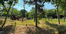 Stire din Social : Diana Buzoianu anunță începerea lucrărilor la un nou parc de aproape 31.000 de metri pătrați