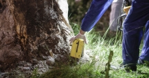 Stire din Eveniment : Cine l-a "sinucis" pe Condrea? Parchetul  de pe lângă Înalta Curte a preluat cercetările