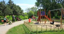 Stire din Social : Invazie de țânțari la Constanța! Primăria spune că a stropit spațiile verzi
