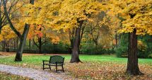 Stire din Social : Prognoza pentru următoarele patru săptămâni. Meteorologii ne spun dacă vin temperaturile de iarnă