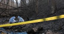 Stire din Eveniment : Paznic de la Romsilva, găsit împușcat în pădure