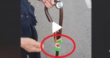Stire din Actualitate : VIDEO. Kitul de supraviețuire al unui pensionar glumeț din Constanța. Imaginile haioase s-au viralizat