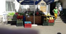 Stire din Social : Pepenele românesc, la control pentru determinarea reziduurilor de pesticide
