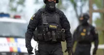Stire din Eveniment : Zeci de percheziții în șase județe pentru combaterea exploatării ilegale a lemnului