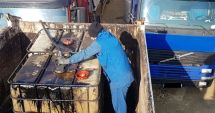 Stire din Eveniment : Furturi de amploare de produse petroliere. Suspecții "îndoiau" motorina cu apă!