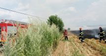 Stire din Social : Pericol de incendiu! Arderea miriştilor, amendată drastic