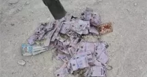 Stire din Eveniment : Peste 100 de permise de conducere românești, descoperite la o groapă de gunoi din Republica Moldova