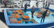 Stire din Eveniment : Pescador turcesc oprit cu focuri de armă, după ce a intrat în nava Poliției de Frontieră
