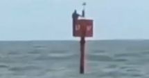 Stire din Actualitate : Un pescar din Brazilia a supraviețuit în ocean timp de două zile agățându-se de o geamandură: "Am crezut că voi muri de frig"