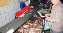 Stire din Social : Jale în pescăriile din Constanța. Ce au găsit inspectorii sanitar-veterinari