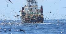 Stire din Economie : Pescuitul și bunăstarea animalelor, în dezbaterea Consiliului UE