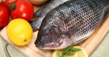 Stire din Social : Pește toxic, pe piață! CE NU ȘTIAI despre SOMON, PĂSTRĂV sau PANGASIUS! Cum alegi PEȘTELE CEL MAI SĂNĂTOS