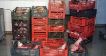 Stire din Eveniment : Sute de kilograme de pește confiscate de polițiștii de frontieră tulceni