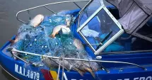 Stire din Eveniment : Capturi ilegale și barcă cu număr fals, descoperite de Garda de Coastă în Delta Dunării și Marea Neagră