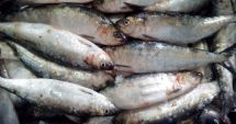 Stire din Eveniment : Polițiștii de frontieră au confiscat 80 de kg de pește