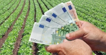 Stire din Economie : Peste 110 milioane de euro, pentru fermierii din sectorul vegetal