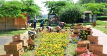 Stire din Social : Peste 30 de mii de flori plantate în Parcul Tăbăcăriei