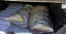 Stire din Eveniment : Peste 90 de kilograme de pește, confiscate de polițiștii de frontieră