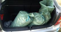 Stire din Eveniment : Zeci de kilograme  de pește fără documente legale, confiscate  de polițiștii de frontieră