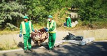 Stire din Social : Peste patru tone de gunoaie, strânse de pe valea portului, în Constanța
