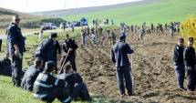 Stire din Politică-Administrație : Voluntarii au plantat în comuna Peștera 50.000 de puieți de glădiță