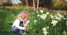 Stire din Sănătate : Pesticidele pot avea efecte nefaste asupra copiilor
