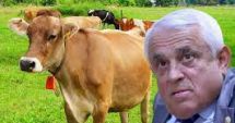 Stire din Actualitate : Petre Daea anunță o premieră în România, sprijinul de „bunăstare pentru taurine”