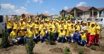 Stire din Eveniment : Zeci de angajați de pe platforma Petromidia, acțiune de voluntariat în Năvodari