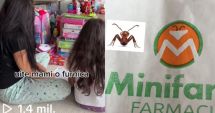 Stire din Social : "Uite, mami, o furnică!" O fetiță a găsit o furnică în sigla Minifarm