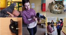 Stire din Actualitate : O refugiată din Irpin a fugit din calea bombardamentelor cu 5 pisici, un corb şi un porumbel: "Nu puteam să le las să moară"