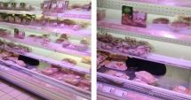Stire din Social : Prima reacție a gigantului Carrefour, după ce o pisică a fost filmată în vitrina cu carne