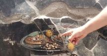 Stire din Actualitate : Frescă reprezentând o ”pizza”, descoperită la Pompei