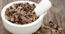 Stire din Sănătate : Ignama sălbatică, un remediu eficient în tratarea crampelor menstruale
