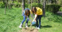 Stire din Social : Amplă acțiune de plantare la Palatul Copiilor din Constanța organizată de Cătălin Filișan