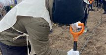 Stire din Social : Copiii din cadrul Complexului de Servicii Comunitare „Antonio” s-au alăturat acțiunii de plantare din oraș