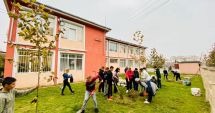 Stire din Social : Elevii, tot mai implicați! Sute de copaci, plantați la Năvodari