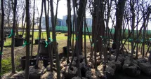 Stire din Social : Zeci de copaci vor fi plantați la Palatul Copiilor Constanța, pe 21 martie